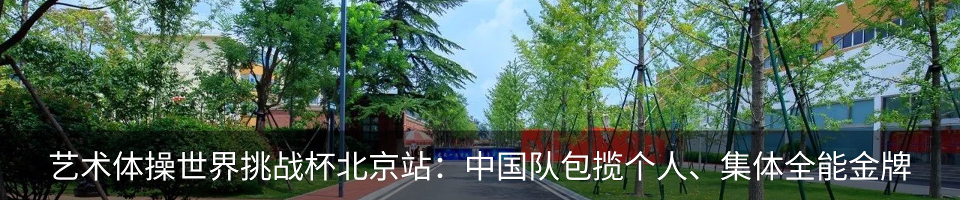 新闻动态